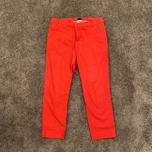 Patagonia Capri Pants